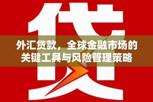 沽源外汇贷款，全球金融市场的关键工具与风险管理策略