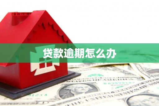 沽源贷款逾期怎么办