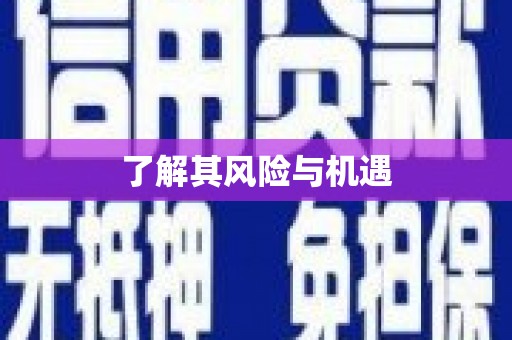 沽源了解其风险与机遇