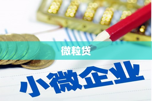 沽源微粒贷