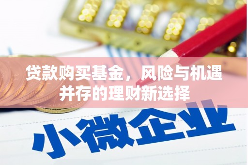 沽源贷款购买基金，风险与机遇并存的理财新选择