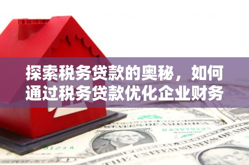 沽源探索税务贷款的奥秘，如何通过税务贷款优化企业财务