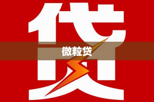 沽源微粒贷