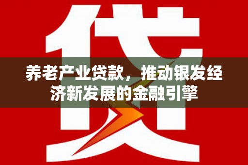 沽源养老产业贷款，推动银发经济新发展的金融引擎