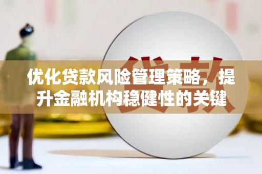 沽源优化贷款风险管理策略，提升金融机构稳健性的关键