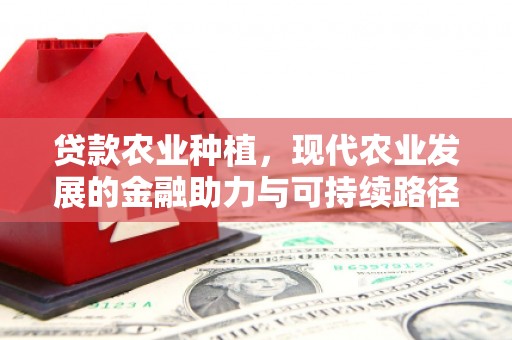 沽源贷款农业种植，现代农业发展的金融助力与可持续路径
