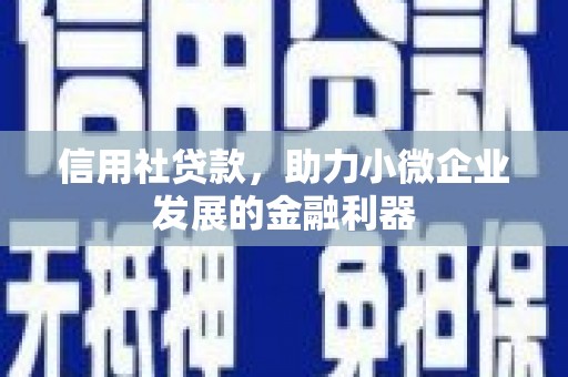 沽源信用社贷款，助力小微企业发展的金融利器