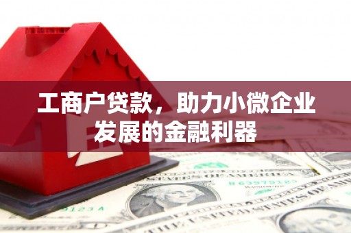 沽源工商户贷款，助力小微企业发展的金融利器