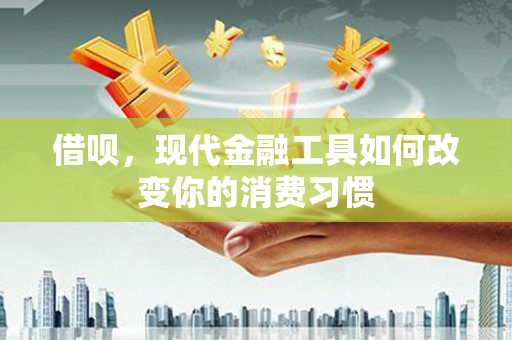 沽源借呗，现代金融工具如何改变你的消费习惯
