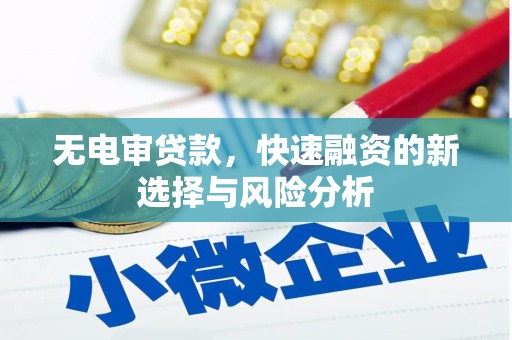 沽源无电审贷款，快速融资的新选择与风险分析