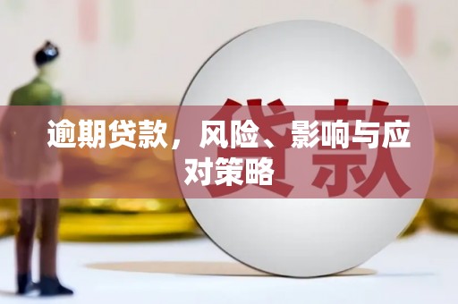 沽源逾期贷款，风险、影响与应对策略