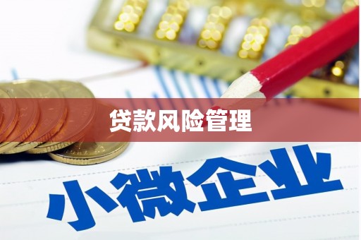 沽源贷款风险管理
