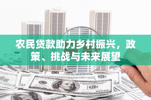 沽源农民贷款助力乡村振兴，政策、挑战与未来展望