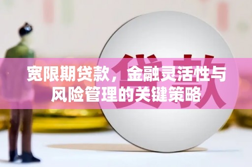 沽源宽限期贷款，金融灵活性与风险管理的关键策略