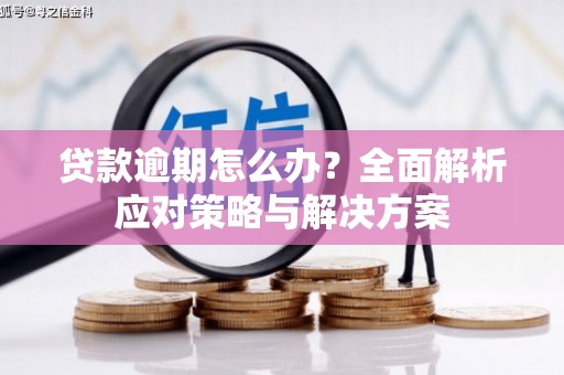 沽源贷款逾期怎么办？全面解析应对策略与解决方案
