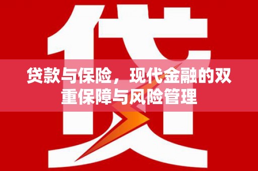沽源贷款与保险，现代金融的双重保障与风险管理