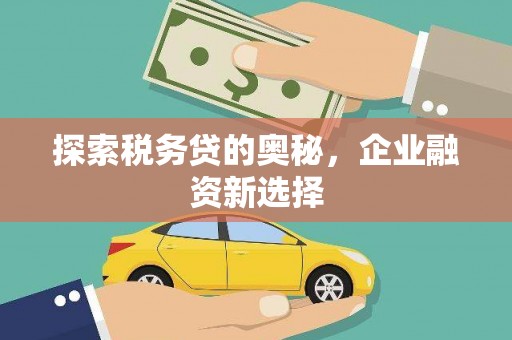 沽源探索税务贷的奥秘，企业融资新选择