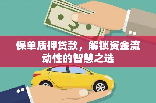 沽源保单质押贷款，解锁资金流动性的智慧之选