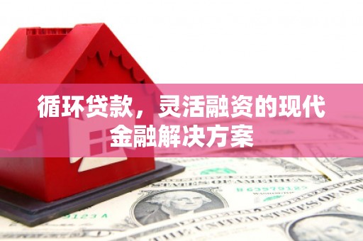 沽源循环贷款，灵活融资的现代金融解决方案