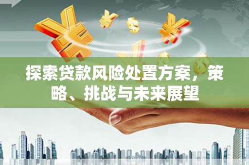沽源探索贷款风险处置方案，策略、挑战与未来展望