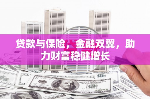 沽源贷款与保险，金融双翼，助力财富稳健增长