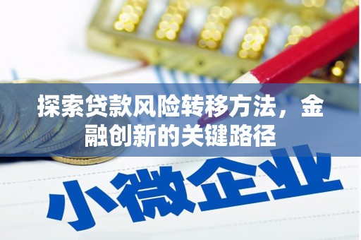 沽源探索贷款风险转移方法，金融创新的关键路径