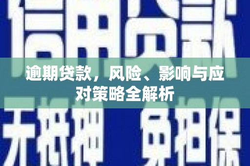 沽源逾期贷款，风险、影响与应对策略全解析