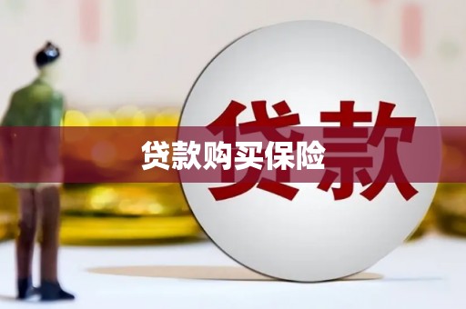 沽源贷款购买保险