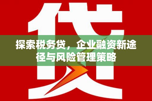 沽源探索税务贷，企业融资新途径与风险管理策略