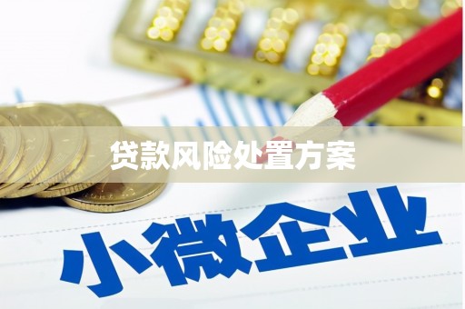 沽源贷款风险处置方案