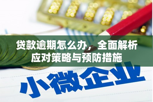 沽源贷款逾期怎么办，全面解析应对策略与预防措施