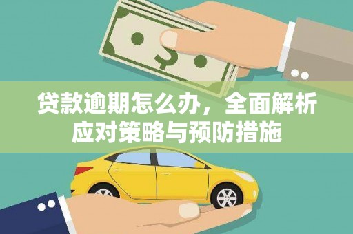 沽源贷款逾期怎么办，全面解析应对策略与预防措施