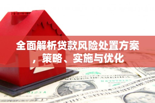 沽源全面解析贷款风险处置方案，策略、实施与优化