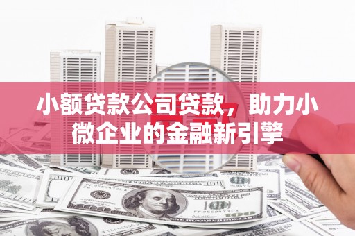 沽源小额贷款公司贷款，助力小微企业的金融新引擎
