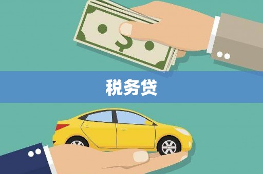沽源税务贷