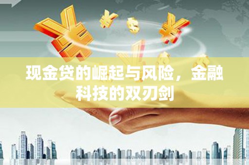 沽源现金贷的崛起与风险，金融科技的双刃剑