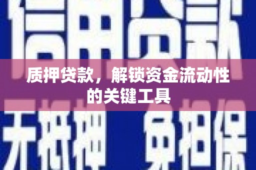 沽源质押贷款，解锁资金流动性的关键工具