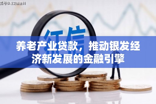 沽源养老产业贷款，推动银发经济新发展的金融引擎