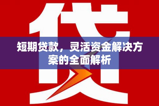 沽源短期贷款，灵活资金解决方案的全面解析