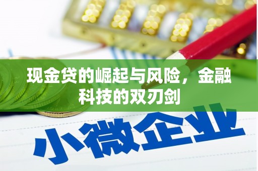 沽源现金贷的崛起与风险，金融科技的双刃剑