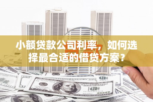 沽源小额贷款公司利率，如何选择最合适的借贷方案？