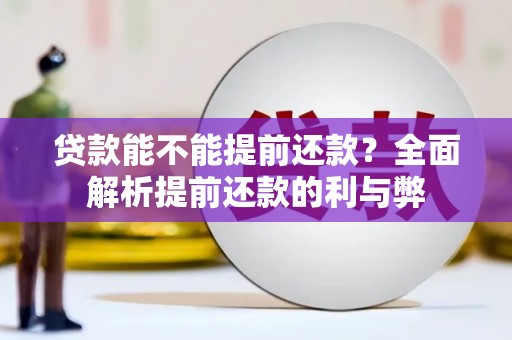 沽源贷款能不能提前还款？全面解析提前还款的利与弊