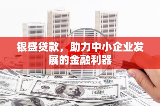 沽源银盛贷款，助力中小企业发展的金融利器