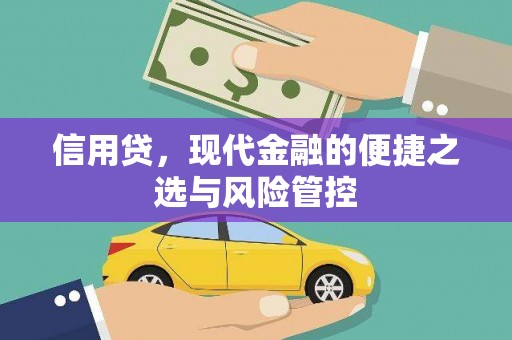 沽源信用贷，现代金融的便捷之选与风险管控
