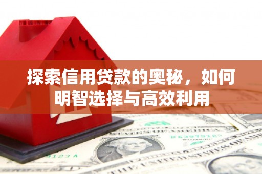 沽源探索信用贷款的奥秘，如何明智选择与高效利用