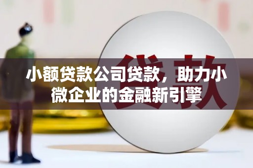 沽源小额贷款公司贷款，助力小微企业的金融新引擎