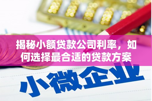 沽源揭秘小额贷款公司利率，如何选择最合适的贷款方案