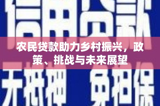 沽源农民贷款助力乡村振兴，政策、挑战与未来展望