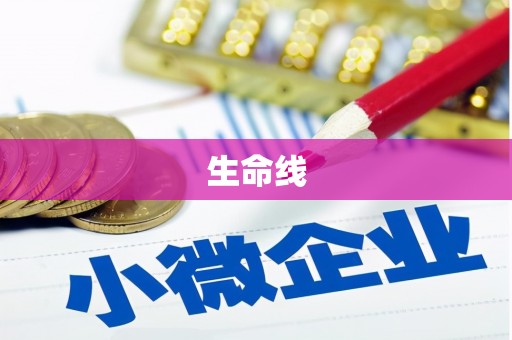 沽源生命线