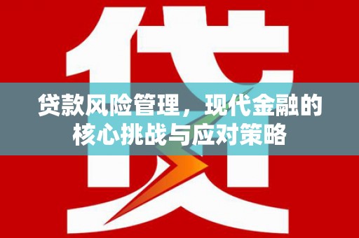 沽源贷款风险管理，现代金融的核心挑战与应对策略